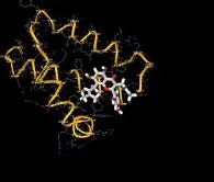 开元棋牌平台 -清晨犹他爵士状态回暖：社区盾节点到来，媒体盛赞，细节决定成败的简单介绍