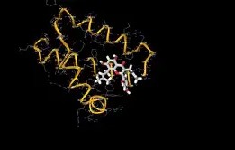 开元棋牌平台 -清晨犹他爵士状态回暖：社区盾节点到来，媒体盛赞，细节决定成败的简单介绍