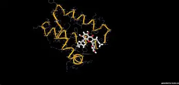 清晨犹他爵士状态回暖：社区盾节点到来，媒体盛赞，细节决定成败的简单介绍